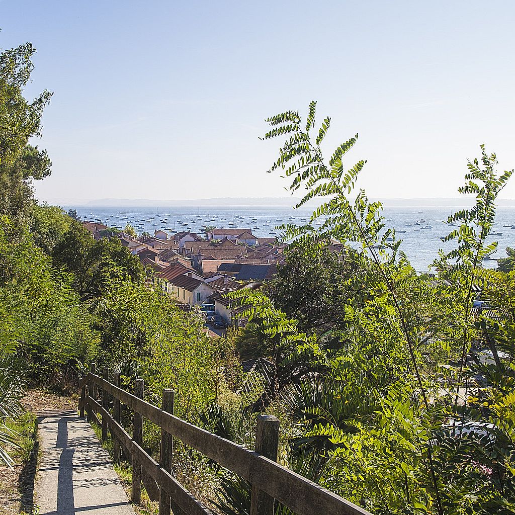 L’immobilier dans le bassin d’Arcachon